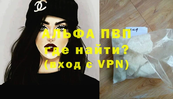 стаф Надым
