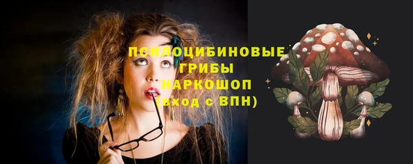 стаф Надым