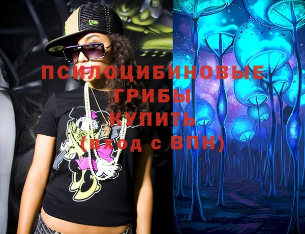 стаф Надым