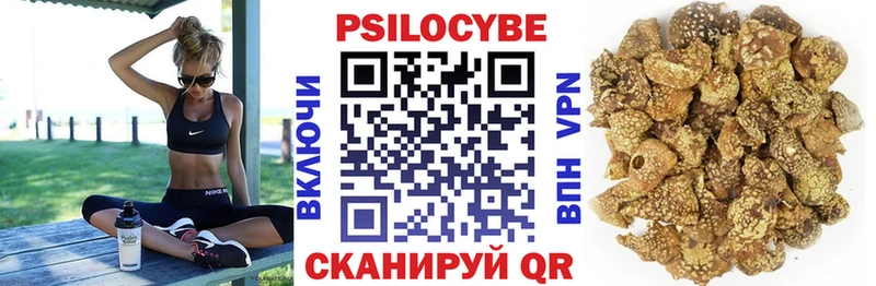 Галлюциногенные грибы Psilocybine cubensis  Мамадыш 