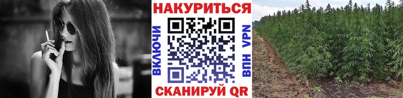 где купить наркоту  Мамадыш  Каннабис планчик 